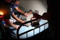 Cảnh sát giao thông đưa người dân đang hôn mê ra khỏi vùng lũ đi cấp cứu