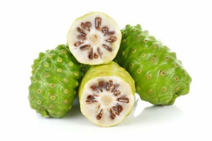 Những lợi ích cho sức khoẻ từ trái nhàu tươi Những lợi ích cho sức khoẻ từ trái nhàu tươi