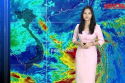 Bản tin Dự báo thời tiết mới nhất đêm nay và ngày mai 27.10