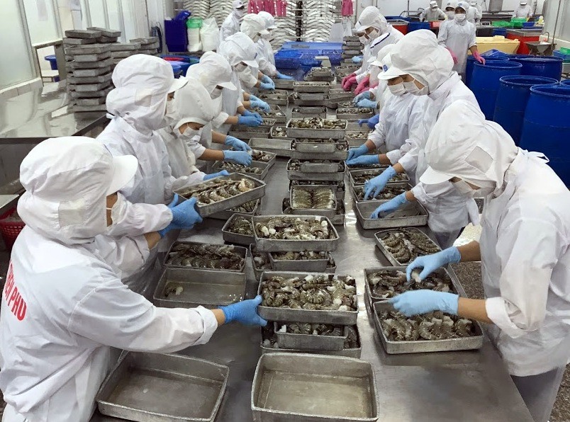 Có diện tích nuôi trồng thủy sản lớn nhất nước, Chế biến thủy sản xuất khẩu là lợi thế của tỉnh (ảnh Nhật Hồ)