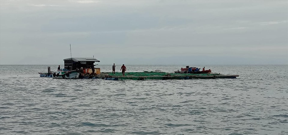Chỉ trong ngày 26.10, hơn 640 phương tiện tàu thuyền bao gồm tàu cá, tàu hàng, tàu khách, cano đã vào neo đậu tại Vũng neo trú tàu thuyền Lý Sơn. Ảnh: Van Minh Pham