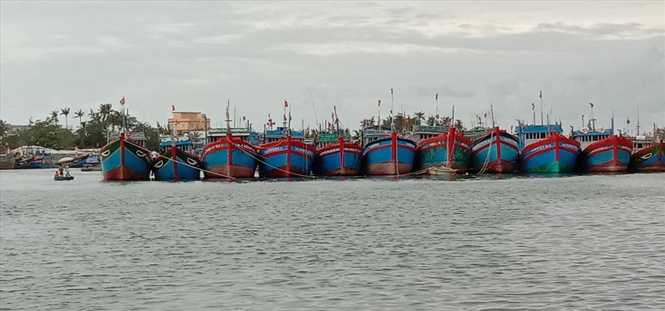 Chỉ trong ngày 26.10, hơn 640 phương tiện tàu thuyền bao gồm tàu cá, tàu hàng, tàu khách, cano đã vào neo đậu tại Vũng neo trú tàu thuyền Lý Sơn. Ảnh: Van Minh Pham