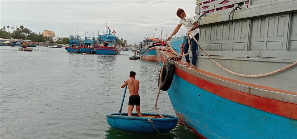 Chỉ trong ngày 26.10, hơn 640 phương tiện tàu thuyền bao gồm tàu cá, tàu hàng, tàu khách, cano đã vào neo đậu tại Vũng neo trú tàu thuyền Lý Sơn. Ảnh: Van Minh Pham