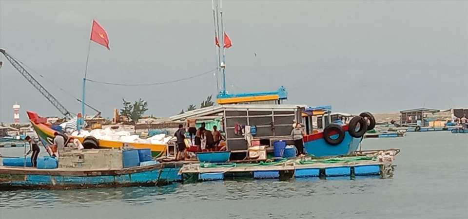 Chỉ trong ngày 26.10, hơn 640 phương tiện tàu thuyền bao gồm tàu cá, tàu hàng, tàu khách, cano đã vào neo đậu tại Vũng neo trú tàu thuyền Lý Sơn. Ảnh: Van Minh Pham