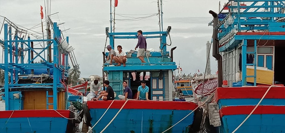Chỉ trong ngày 26.10, hơn 640 phương tiện tàu thuyền bao gồm tàu cá, tàu hàng, tàu khách, cano đã vào neo đậu tại Vũng neo trú tàu thuyền Lý Sơn. Ảnh: Van Minh Pham