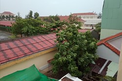Bão số 9: Phú Yên đã có mưa to, gió mạnh dần