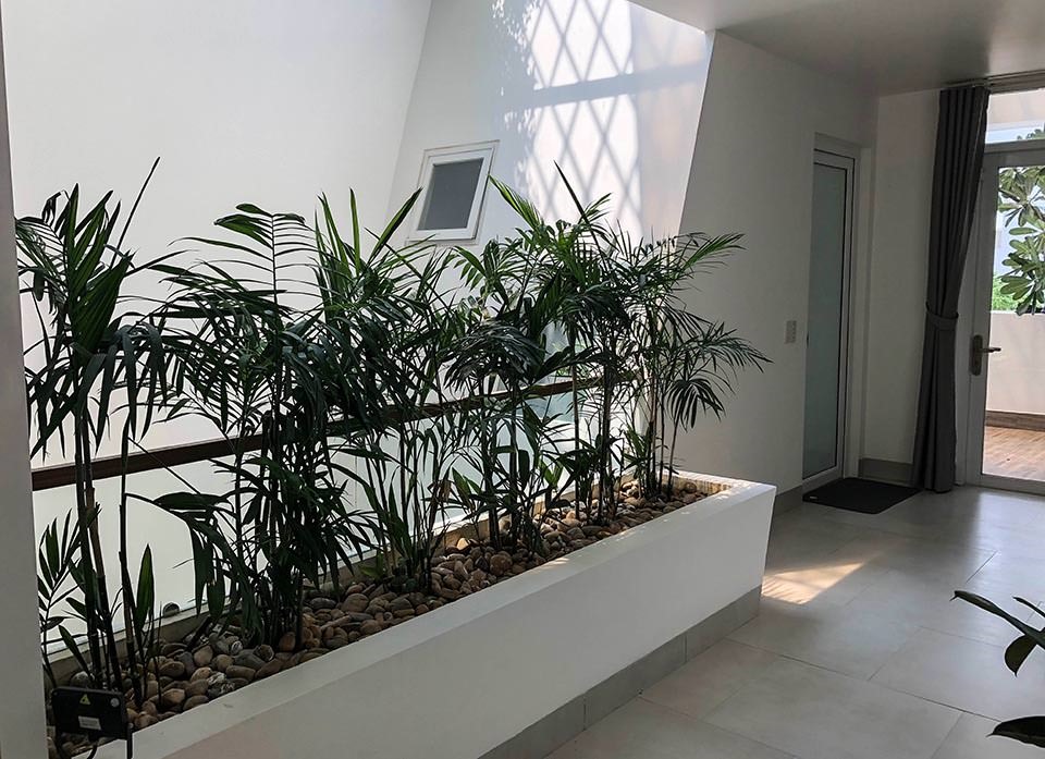 Biệt thự được trồng nhiều cây xanh