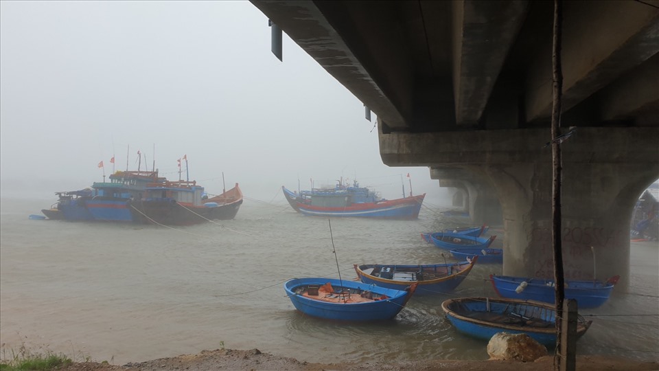 Ảnh: CTV từ đảo Lý Sơn