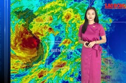 Bản tin Dự báo thời tiết mới nhất đêm nay và ngày mai 29.10