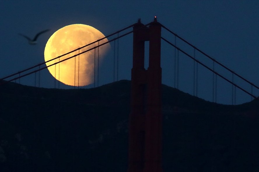 Siêu trăng máu xanh - sự kiện hiếm có trăng xanh, siêu trăng và trăng máu cùng cùng đồng thời xảy ra hôm 31.1.2018 quan sát tại Cầu Cổng Vàng ở San Francisco, Mỹ. Ảnh: Getty.