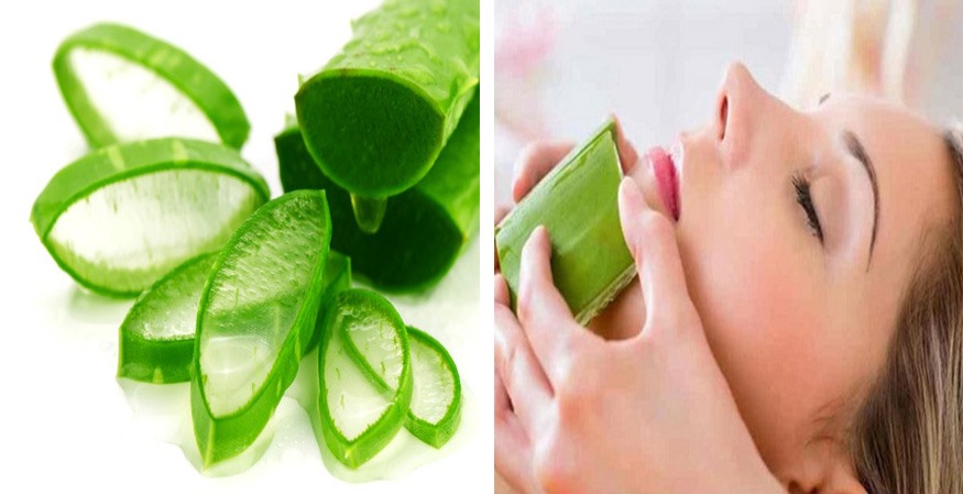 Nha đam được coi là một trong nhiều “thần dược” thiên nhiên giúp điều trị kích ứng da hiệu quả. Đồ họa: Kim Nhung