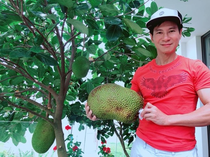 Trên sân thượng, anh còn trồng cả mít, khế, lựu... Nhờ chăm bón kỹ, cây ra trái quanh năm.