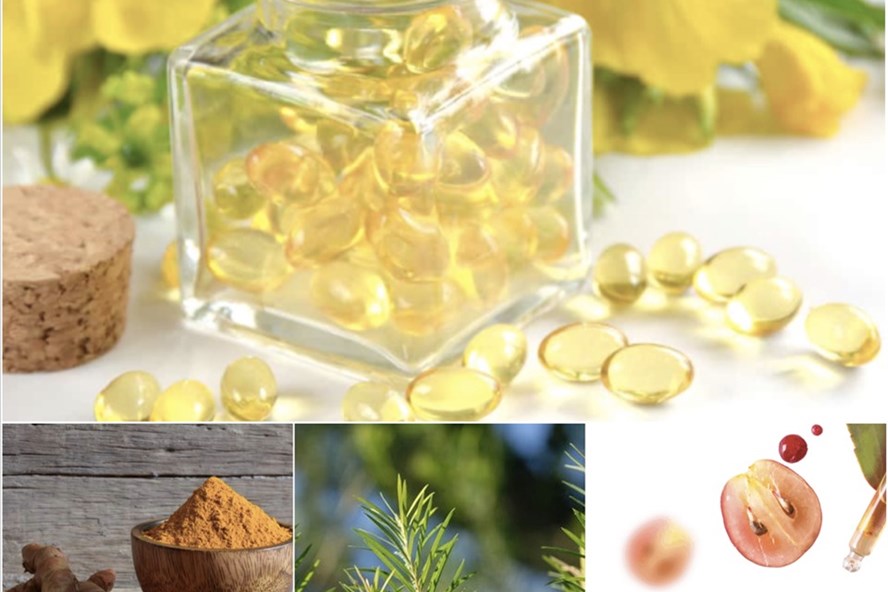 Những dược liệu được các chuyên gia khuyên dùng. Ảnh: Hạ Mây