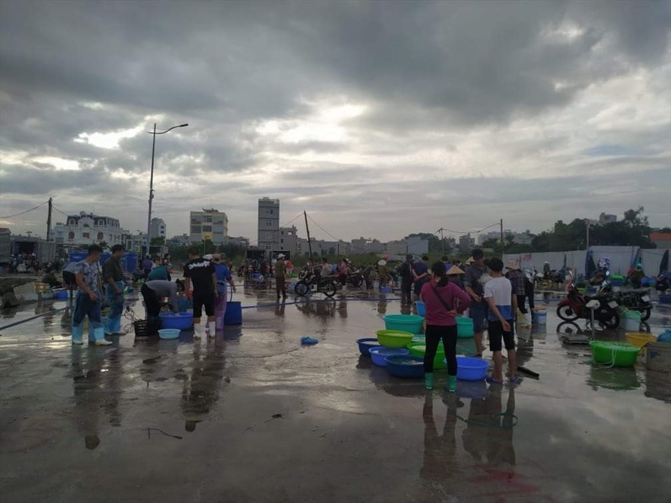 Ngư dân, tiểu thương đang gặp rất nhiều khó khăn do dịch COVID-19 nhưng mức phí phải nộp ở bến cá Cao Xanh lại đang rất cao. Ảnh: Nguyễn Hùng
