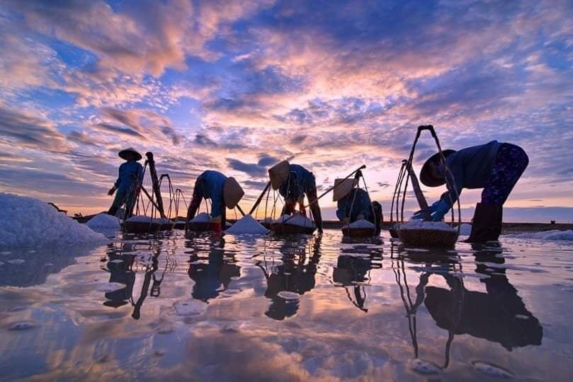 Tác phẩm “Lao động trên đồng muối” đạt giải nhất cuộc thi