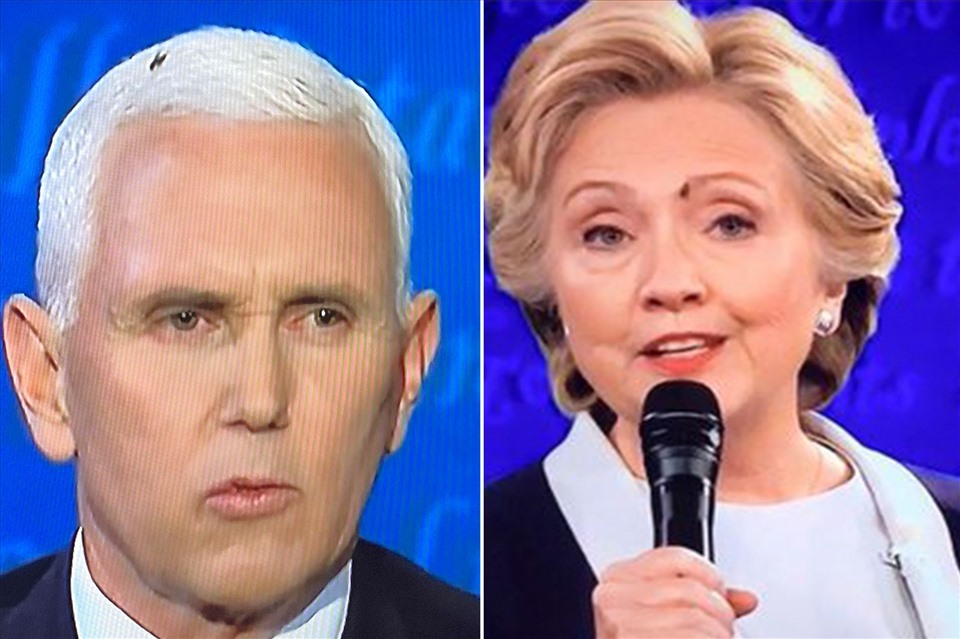 Một con ruồi cũng hạ cánh trên trán ứng viên tổng thống Hillary Clinton năm 2016. Ảnh: NYP