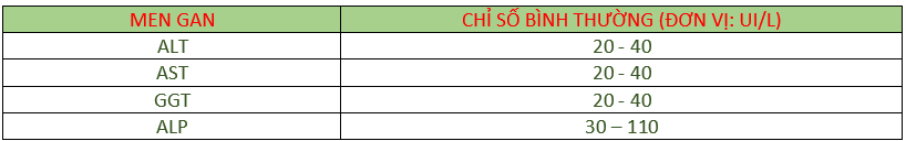 Chỉ số men gan ở mức bình thường. Ảnh: Hồng Nhật