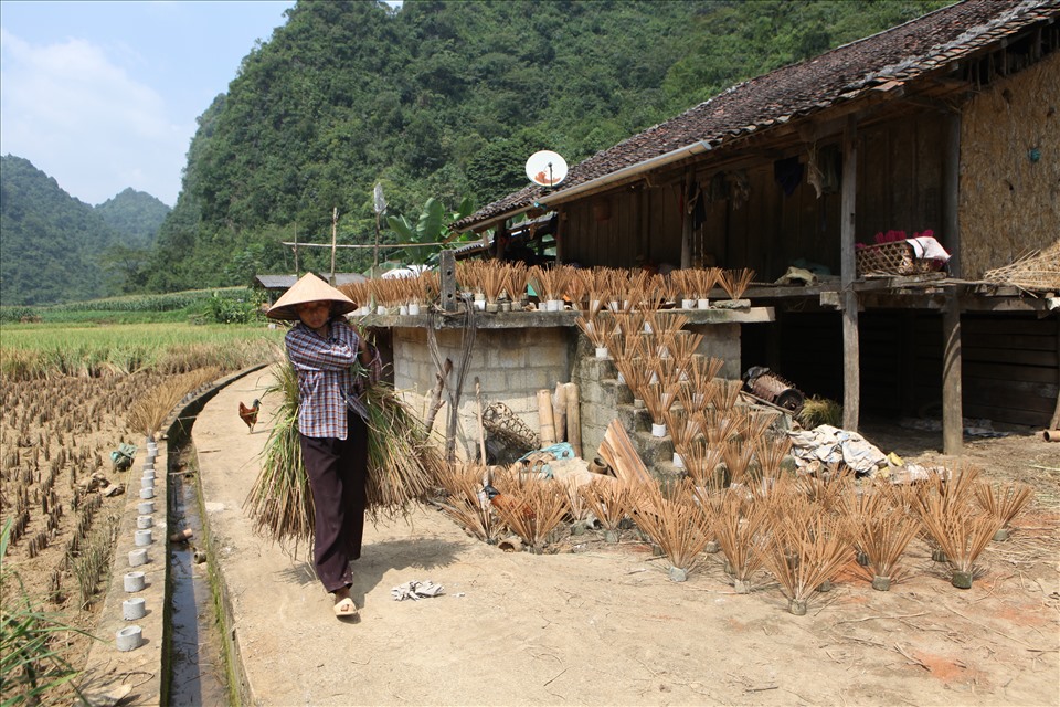 Tại Phia Thắp, có 53 hộ gia đình thì cả 53 hộ đều làm hương theo phương pháp truyền thống của tổ tiên để lại.