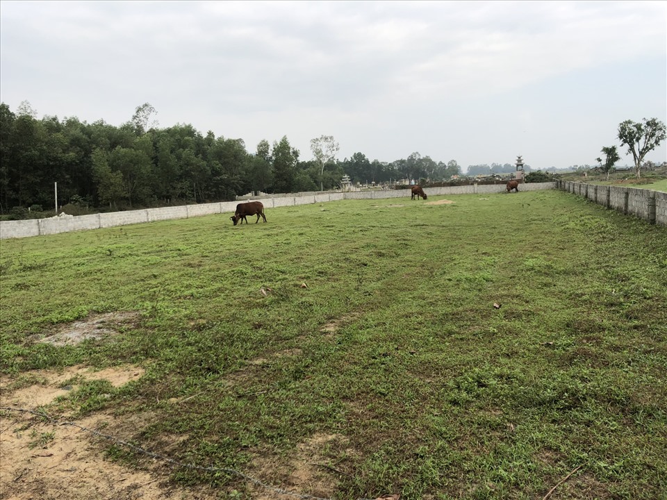 Tình trạng lấn chiếm đất công làm nghĩa trang đã diễn ra ồ ạt trong thời gian dài nhưng không ai bị xử lý. Ảnh: Hoàng Nguyên