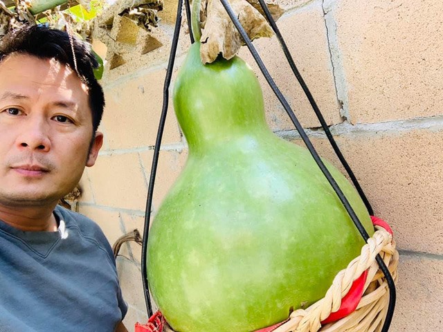 Hầu hết các cây đều sai quả.