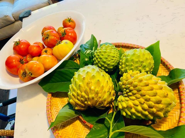 Trái cây khá đa dạng hiện diện trong khu vườn nhà nam ca sĩ