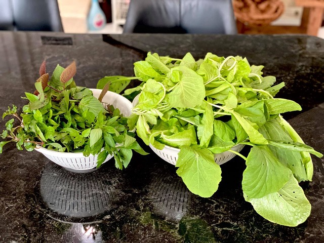 Các loại rau thông dụng như xà lách, rau cải ngọt, cải thìa... được Trịnh Kim Chi chọn trồng bằng giàn thủy canh. Ngoài ra, chị ươm rau thơm, xà lách Nhật, tía tô, rau má, mồng tơi bằng phương pháp truyền thống.