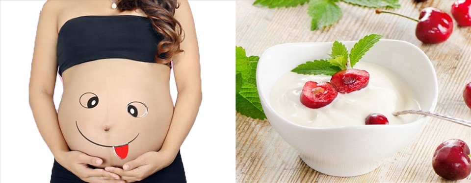Sữa chua tốt cho hệ miễn dịch ở đường tiêu hóa. Đồ họa: Hồng Nhật