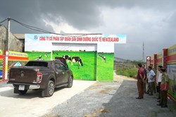 Mục sở thị “nhà máy” sản xuất sữa New Zealand có dấu hiệu bất thường
