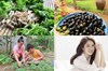Khám phá trang trại rộng lớn nhiều rau củ của Lê Phương "Gạo nếp gạo tẻ"