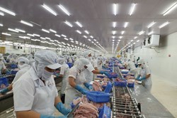 Cần Thơ: Công nhân lo lắng trước thông tin thưởng Tết bằng hiện vật