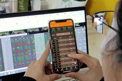 Chứng khoán: Dù tăng hay điều chỉnh, vẫn nắm giữ tỉ trọng cao cổ phiếu