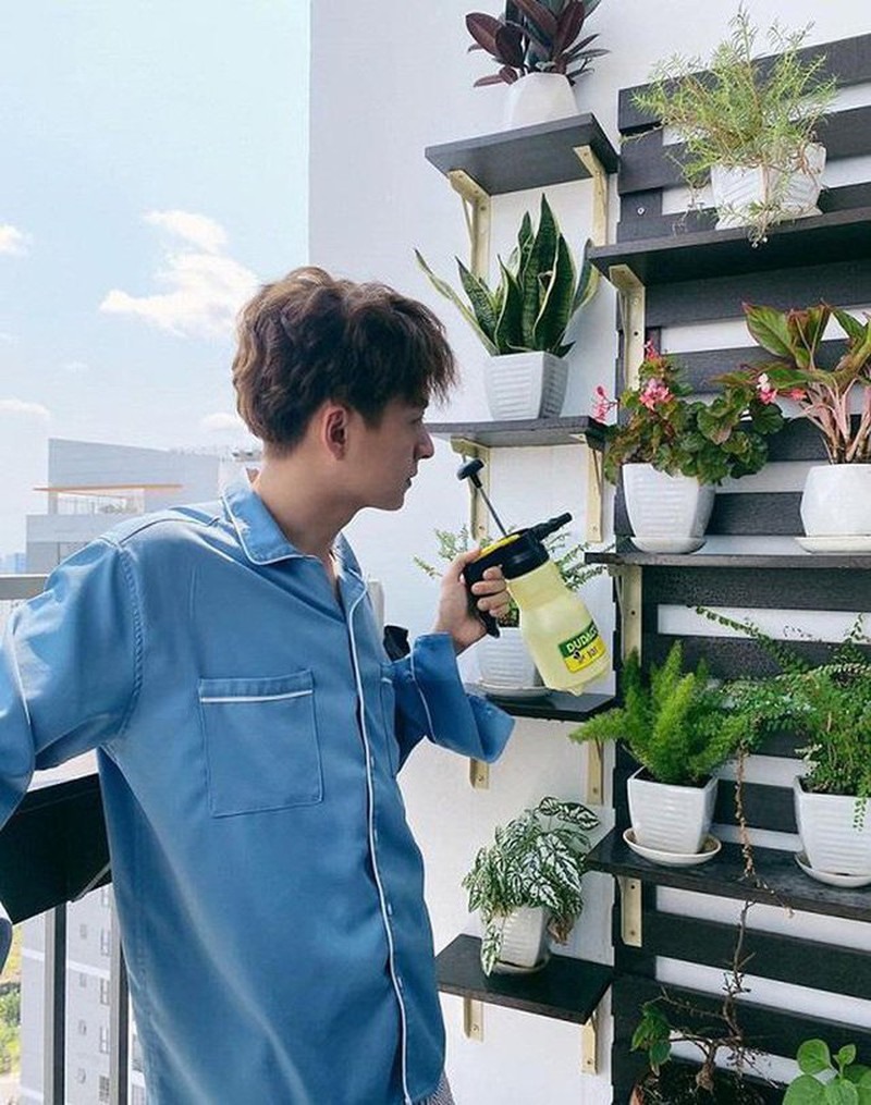 Anh khá yêu thích việc chăm sóc cây xanh và hoa nên đã bài trí một giá treo tường lớn để trồng hoa.