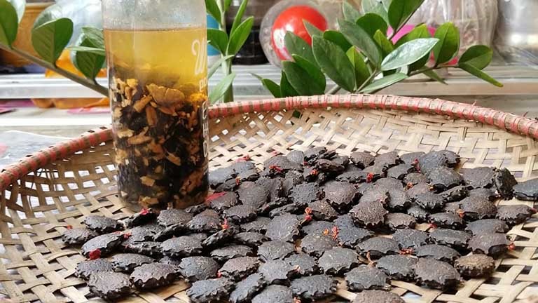 Trị viêm mũi bằng hạt gấc tại nhà đơn giản nhưng vô cùng hữu hiệu. Ảnh: thuocdantoc.org