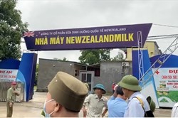 Quảng cáo dối trá của Công ty CP sữa dinh dưỡng quốc tế Newzealand