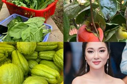 Khu vườn nhiều rau củ trong biệt thự của Hoa hậu Nguyễn Thị Huyền