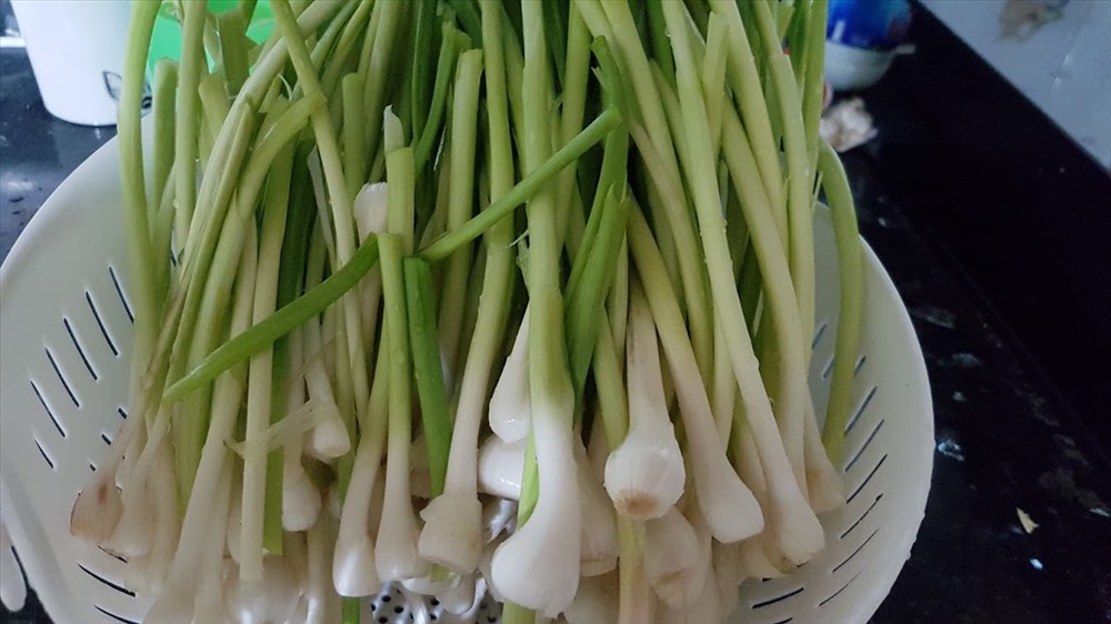 Ngồng tỏi, hoặc tỏi non nhổ sớm: 1-2kg tùy lượng người ăn, rửa sạch để ráo nước.