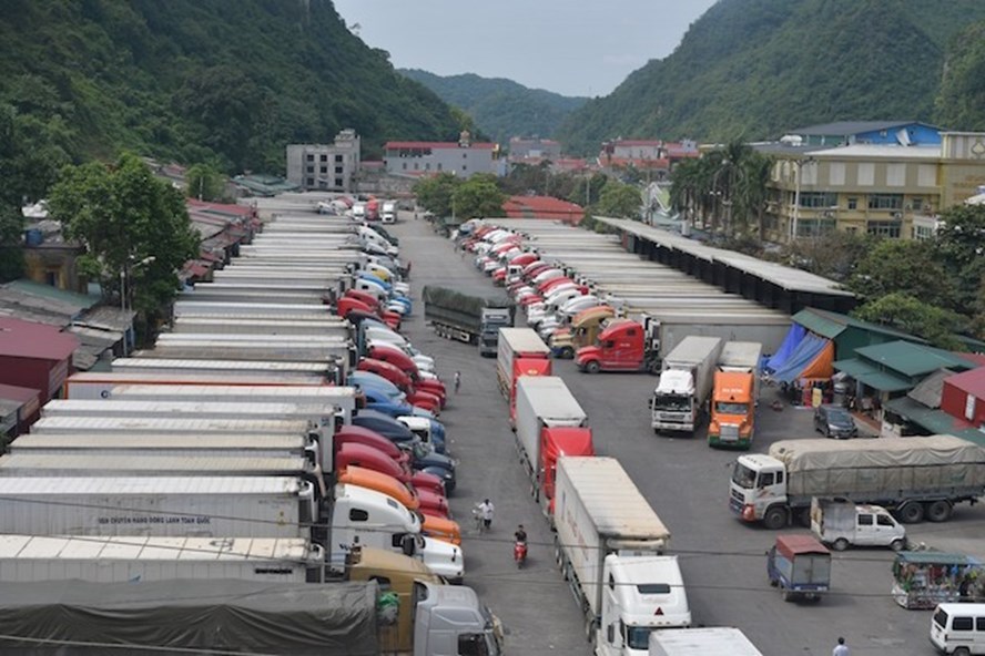 Theo Bộ Nông nghiệp và Phát triển nông thôn, hiện còn khoảng 150 xe chở thanh long đang ùn ứ tại cửa khẩu do Trung Quốc vẫn đang nghỉ Tết. Ảnh: Kh.L