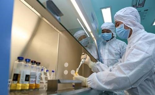 Một cuộc đua vắc-xin chống lại virus đã bắt đầu. Ảnh: China Internet