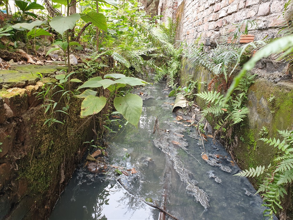 Hệ thống cống, rãnh quanh các khu nhà trọ công nhân chủ yếu là lộ thiên, thu hút ruồi, muỗi bâu kín. Ảnh: Tùng Giang.