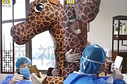 Nóng nhất hôm nay: Hoá trang thành hươu cao cổ vào viện giữa dịch COVID-19
