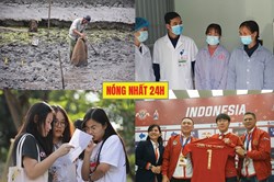 Nóng nhất 24h: Nguồn gốc bãi cọc mới phát lộ ở Hải Phòng