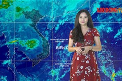 Bản tin Dự báo thời tiết mới nhất đêm nay và ngày mai 24.2