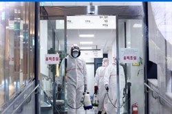 Lao động Việt Nam tại Hàn Quốc không đến các vùng có dịch COVID-19