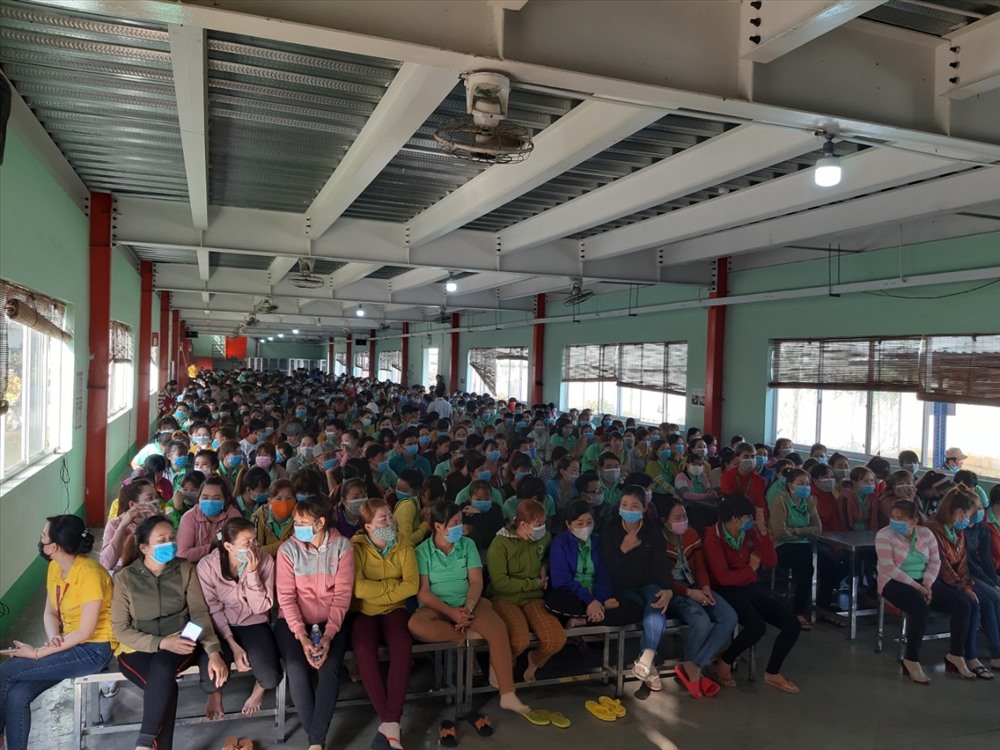 Công nhân được Cty phát miễn phí khẩu trang, được đo thân nhiệt và các biện pháp khác để phòng ngừa dịch bệnh. Ảnh: K.Q