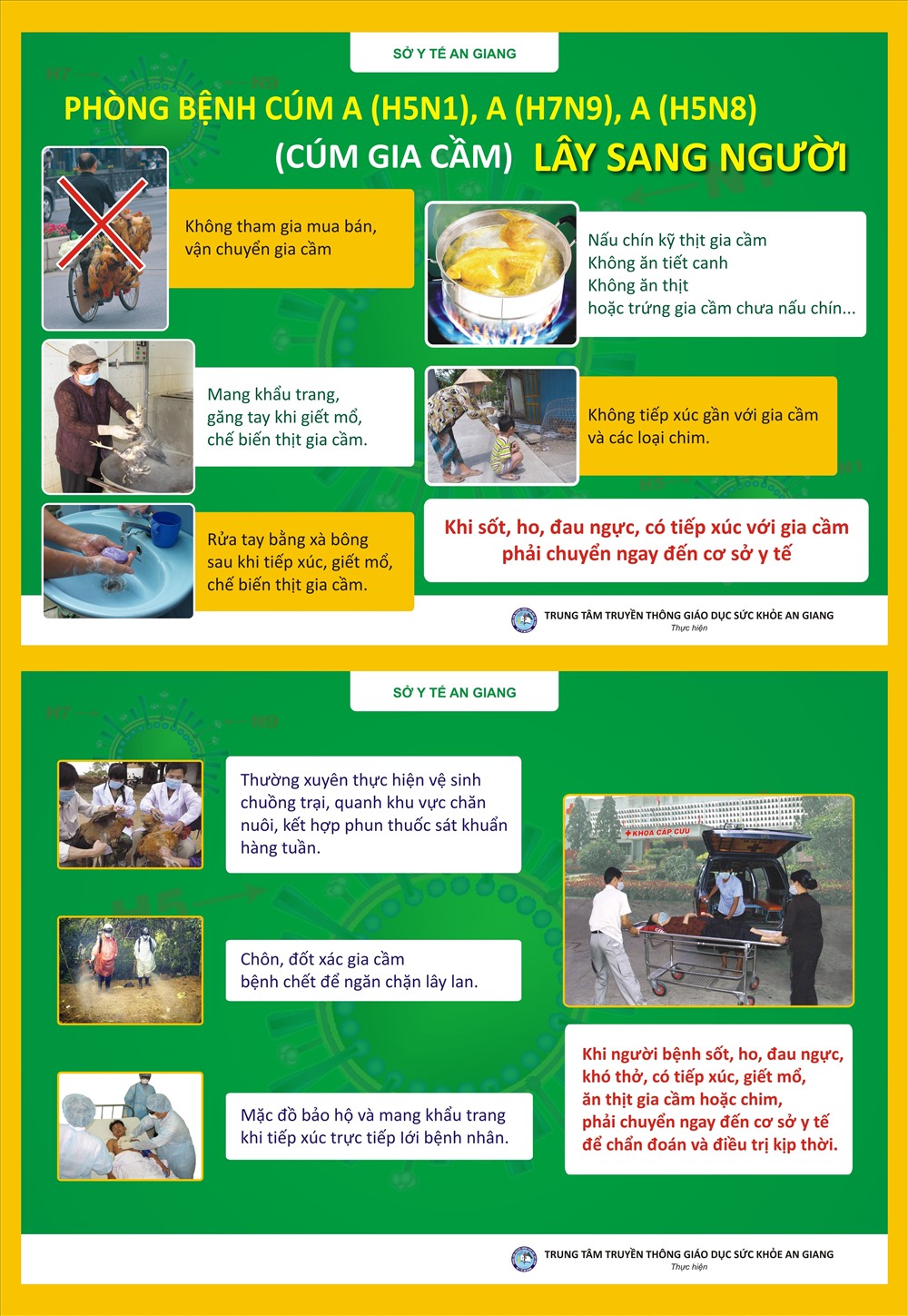 Các bước để phòng tránh bệnh cúm gia cầm lây sang người. Nguồn: Sở Y tế An Giang