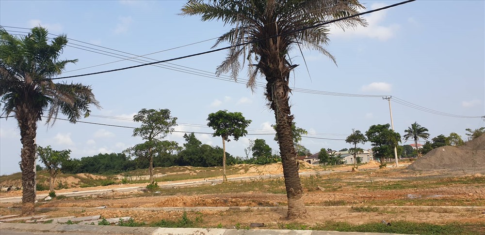 Hàng chục ngàn m2 đất tại thị xã Quảng Trị không được đấu giá đất theo quy định khi giao cho dự án Khu đô thị Bắc Thành cổ. Ảnh: P.V