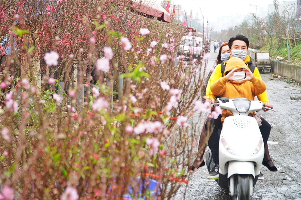 Những cành đào chơi dịp này thường là đào nở muộn. Nhưng vẫn có đủ hoa, nụ và lá non. “Cành đào phải đầy đủ hoa, nụ lá mới có lộc“, cô Huy - một người bán đào dip tháng Giêng cho biết.