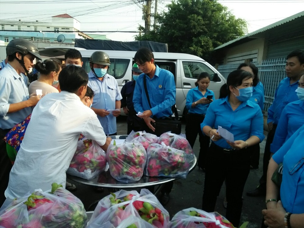 Gần 4 tấn thanh long được bán cho công nhân trong ngày đầu. Ảnh: K.Q