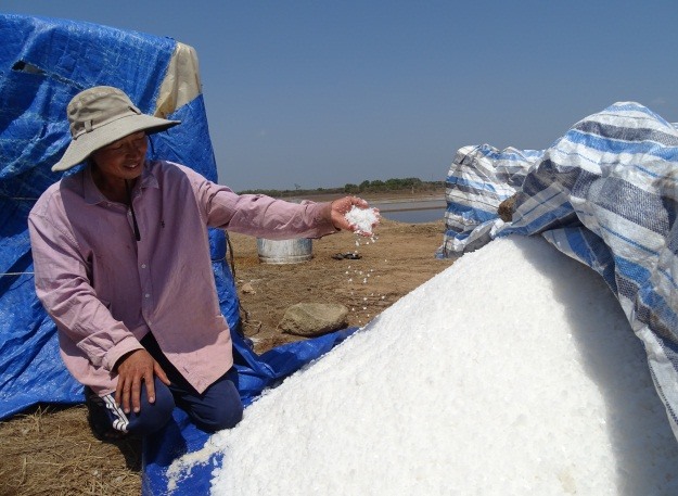 Nắng nóng, khô hạn diêm dân trúng đậm mùa muối năm 2020. Dù giá muối không cao, nhưng diêm dân vẫn phấn khởi bời họ không bán liền mà trữ lại chờ giá (ảnh Nhật Hồ)