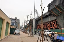 Hố lạ bủa vây, nhiều cây sấu mới trồng chết khô dọc đường Trường Chinh